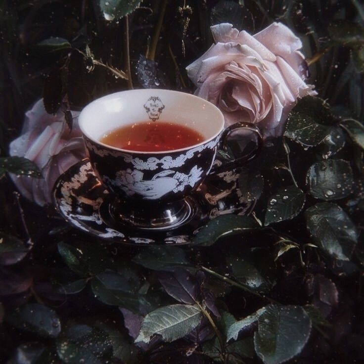 Custom Organic Tea Blend Formulation