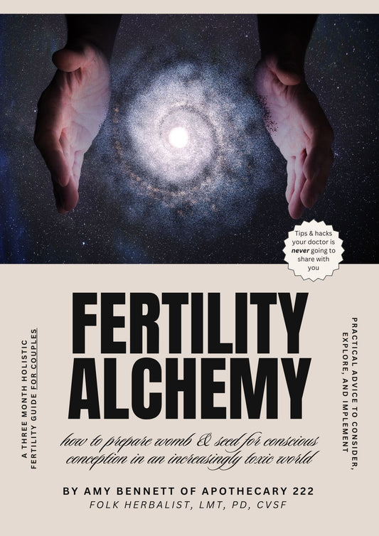 Fertility Alchemy by Amy Bennett (ebook)
