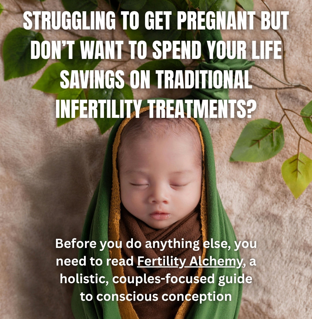 Fertility Alchemy by Amy Bennett (ebook)