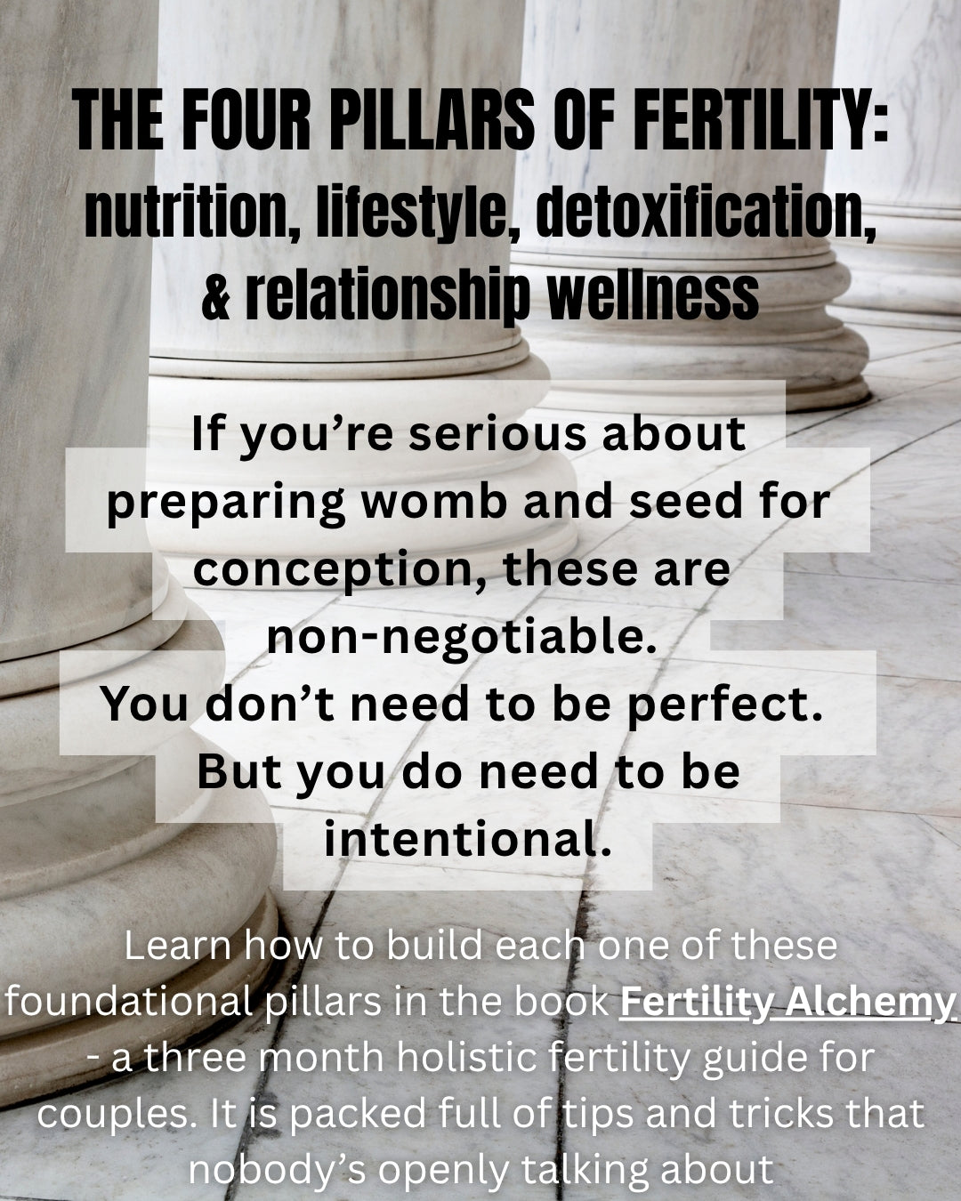 Fertility Alchemy by Amy Bennett (ebook)